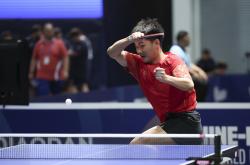 开云足球直播-关于比利时乒乓球队鏖战英国乒乓球队，王皓爆发神勇的信息