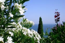 开云体育APP下载-费城之矛刺穿北境，拉文临危受命定乾坤