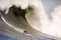 开云官方app入口-尼斯战术革命，马里防线重塑，凯塞多化身关键先生