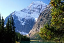 开云体育中国官网-包含摩纳哥客场大胜波尔多，确保积分领先位置的词条