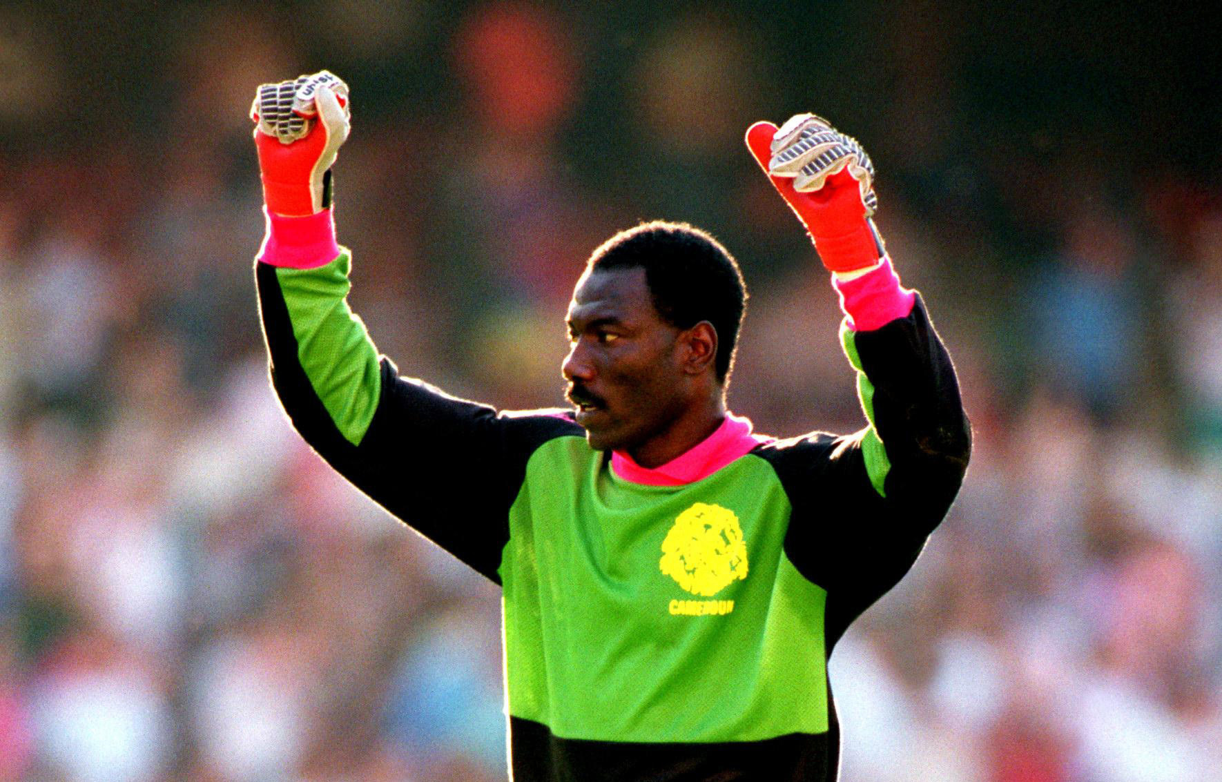 包含非洲国家杯赛上佳战绩引发关注的词条