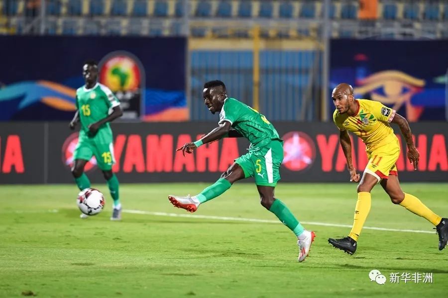 包含非洲国家杯赛上佳战绩引发关注的词条