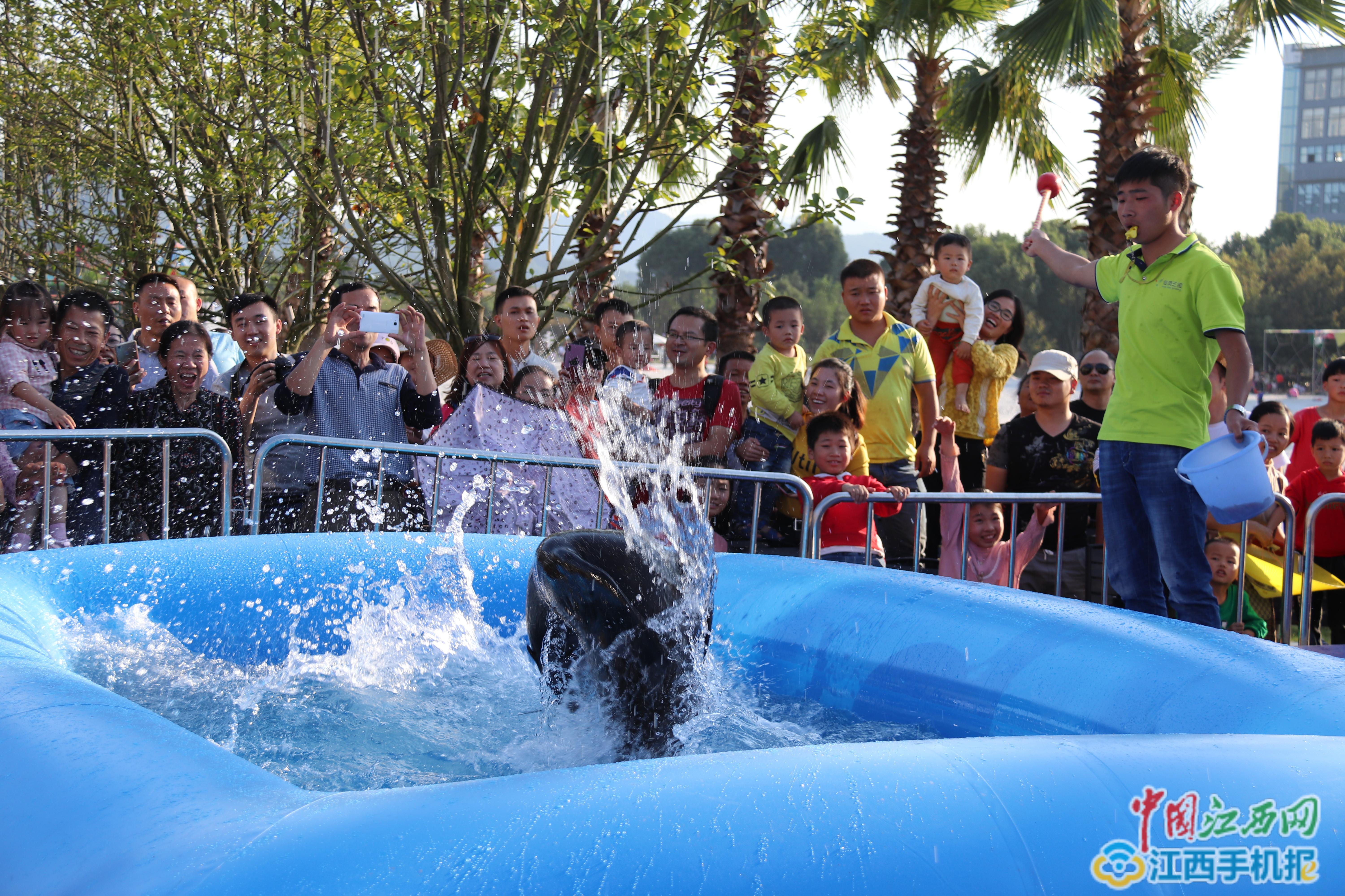 关于惊险刺激的比赛过程，观众捧腹大笑的信息