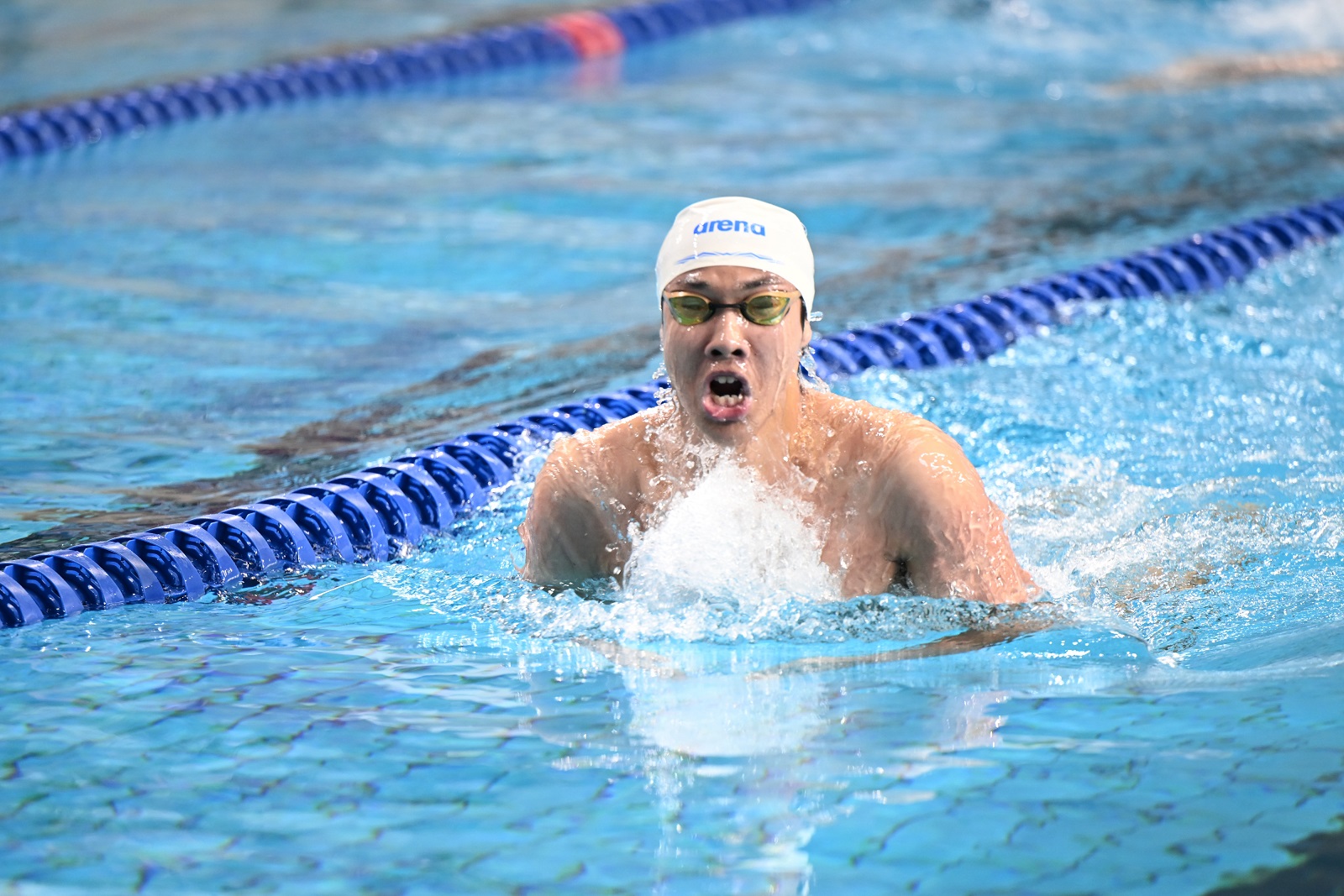 游泳比赛法国选手游出佳绩夺得冠军