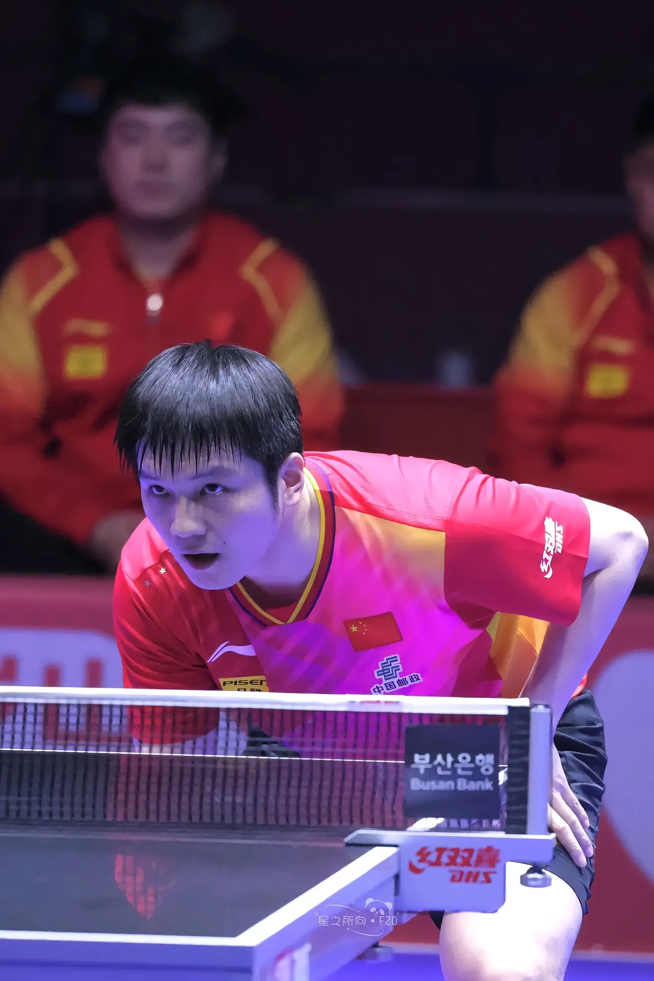 关于瑞典乒乓球队绝杀英国乒乓球队,张继科爆发神勇的信息 关于瑞典乒乓球队绝杀英国乒乓球队,张继科爆发神勇的信息