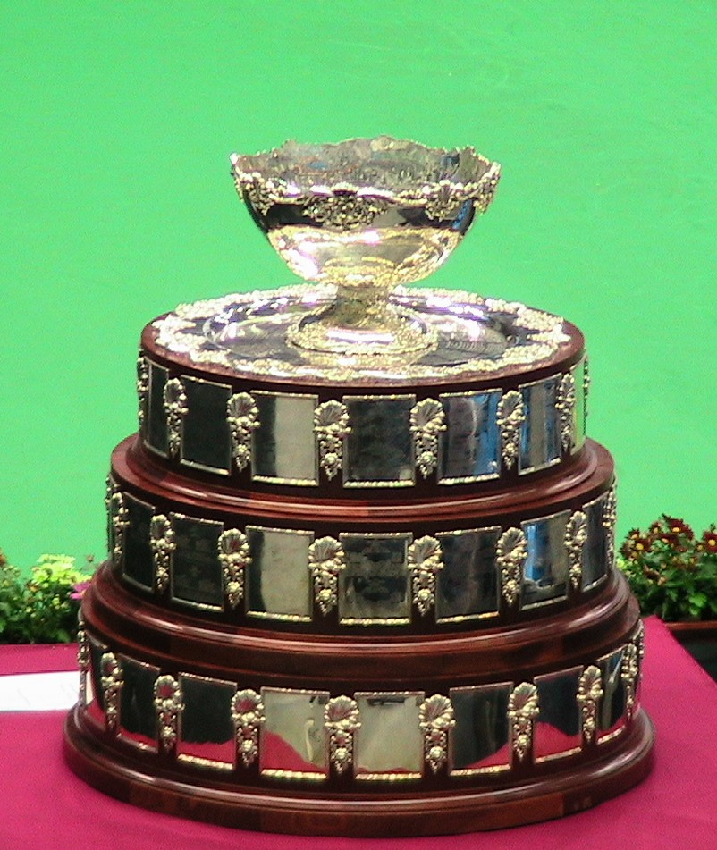 戴维斯杯力克拉沃尔杯，德约科维奇惊艳四座的简单介绍