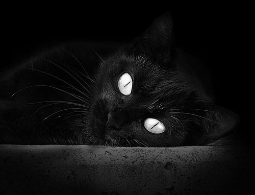 西决生死战之夜，哈登如何以节奏大师之姿带动全队