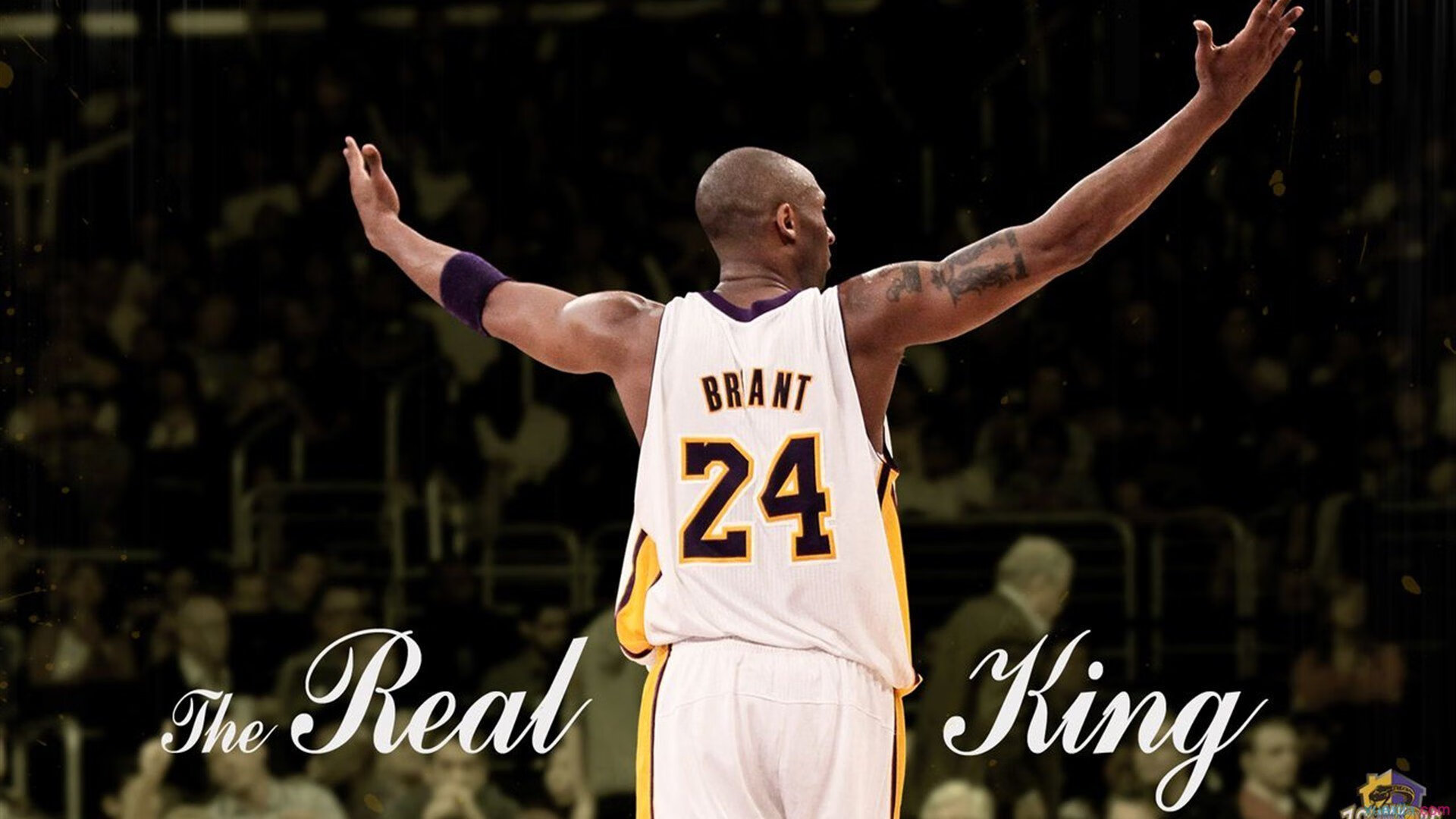 新王登基还是格局重塑？阿尔卡拉斯戴维斯杯轻取澳网冠军，带队取胜昭示网坛权力转移